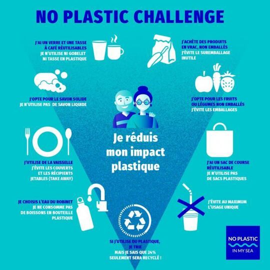 Image No plastic challenge